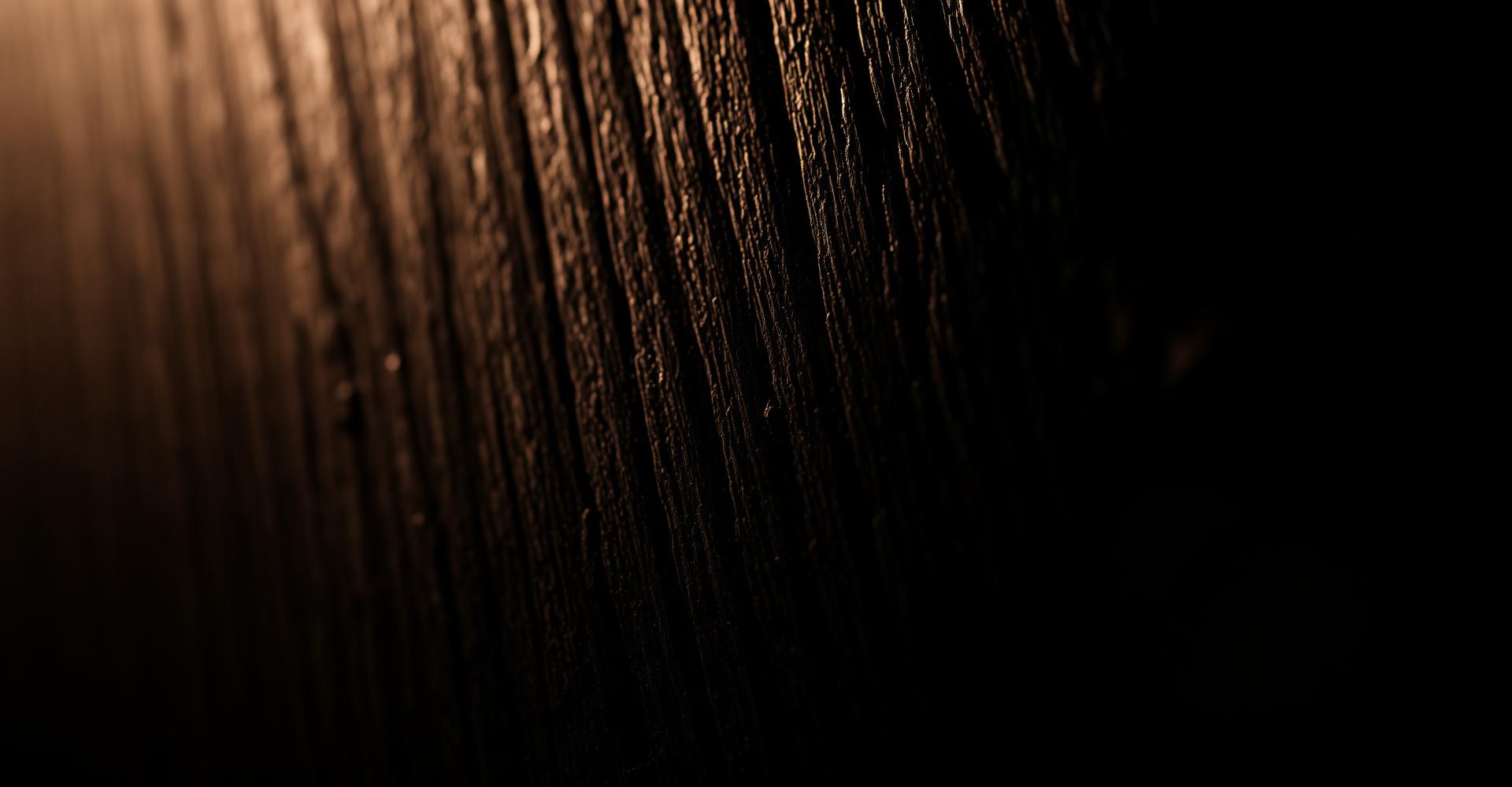 Detail struktury dubového dřeva v teplém světle